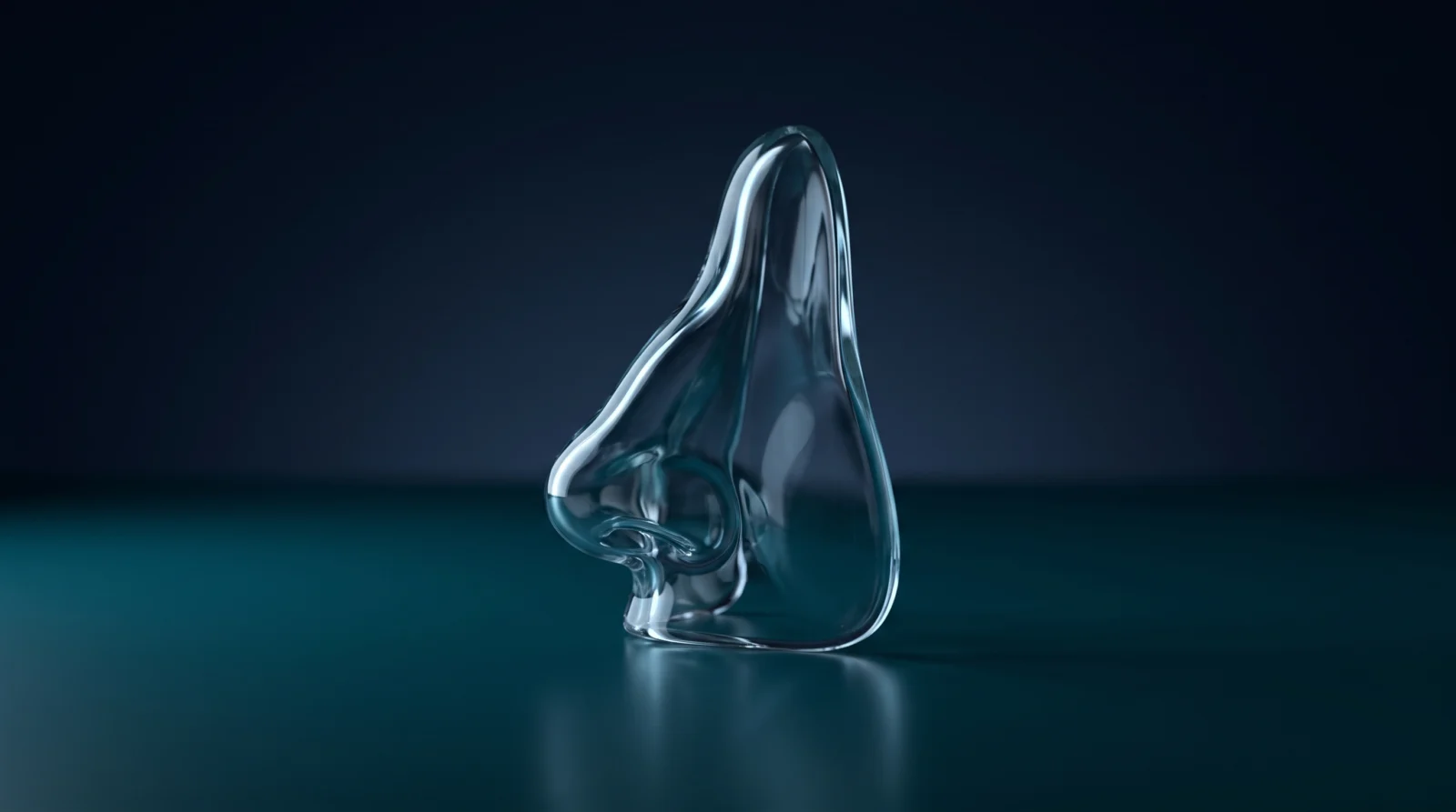 Profile illustration of a saddle nose deformity showing a collapsed nasal bridge