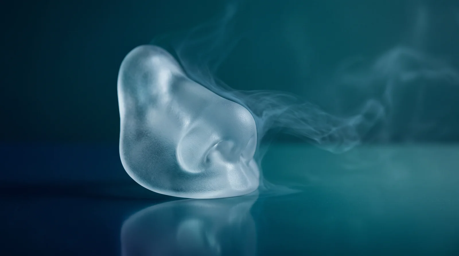Smoking and Rhinoplasty: Effects on Nose Healing